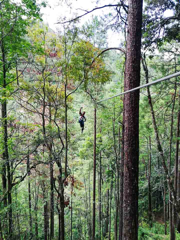 Canopy de Marcala