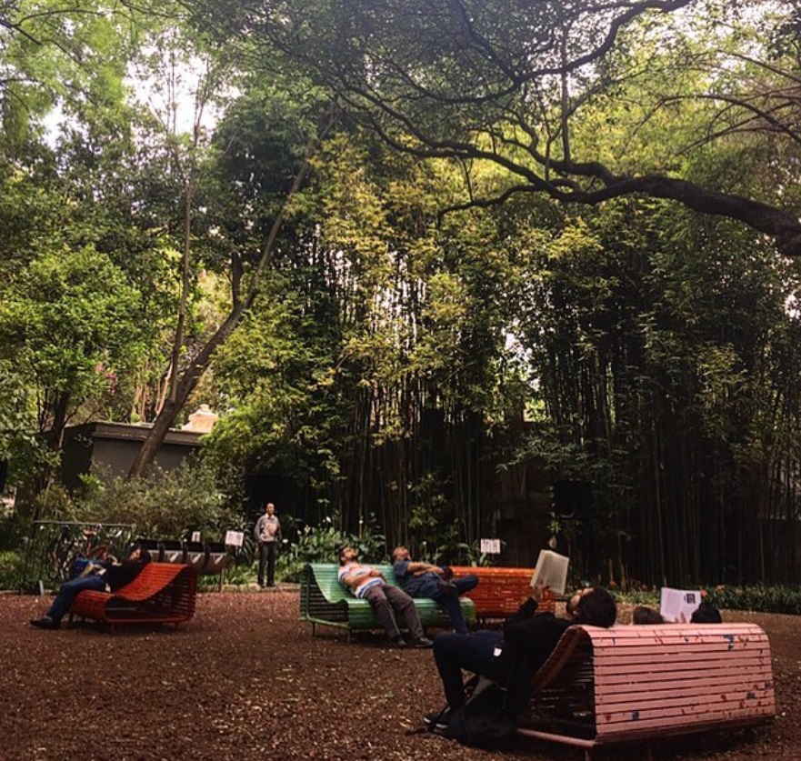 Bosque de Chapultepec