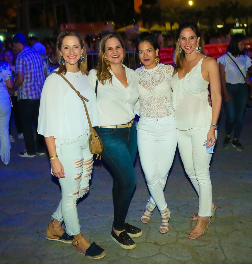 La fiesta de la Noche del Sabor 2019