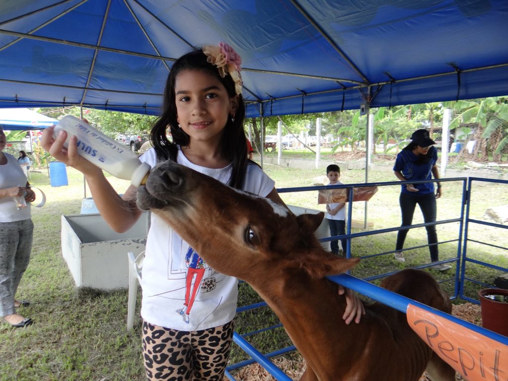 Festival del niño 2019