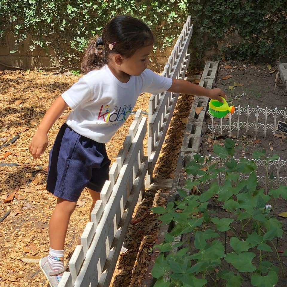 Ventajas de un daycare