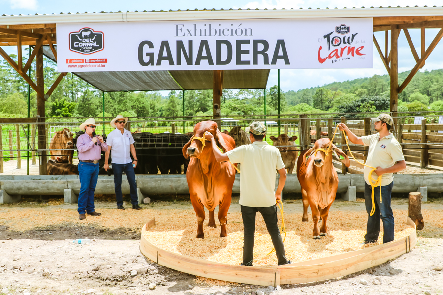 El tour de la carne 2019 by agroindustrias Del Corral