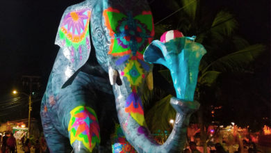 Chimeneas gigantes 2019