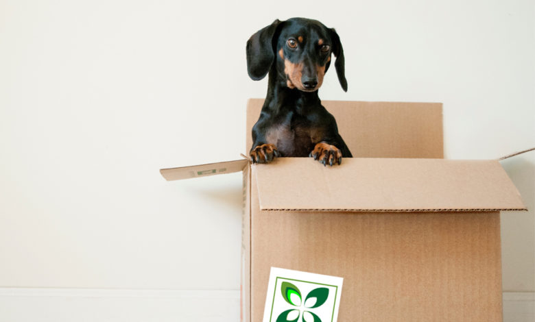 Apartamentos en Fontana de la Arboleda SPS
