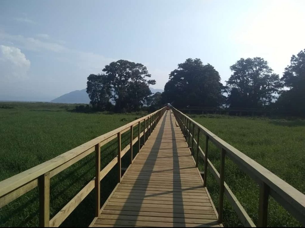 Parque arqueológico Los Naranjos
