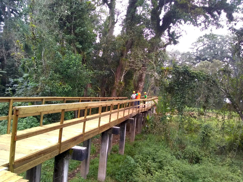 Parque arqueológico Los Naranjos