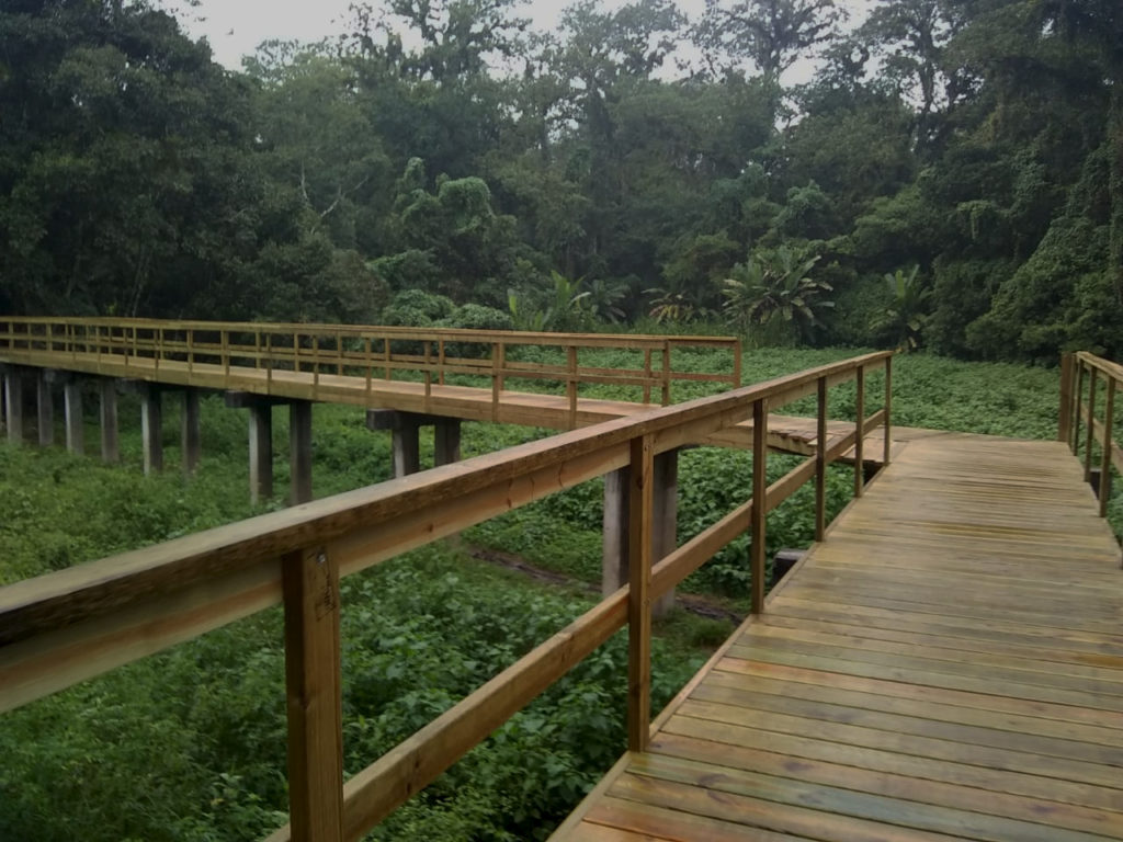 Parque arqueológico Los Naranjos