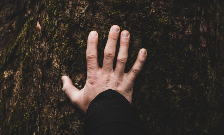 Coronavirus en superficies