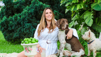 Entre perros y gatos