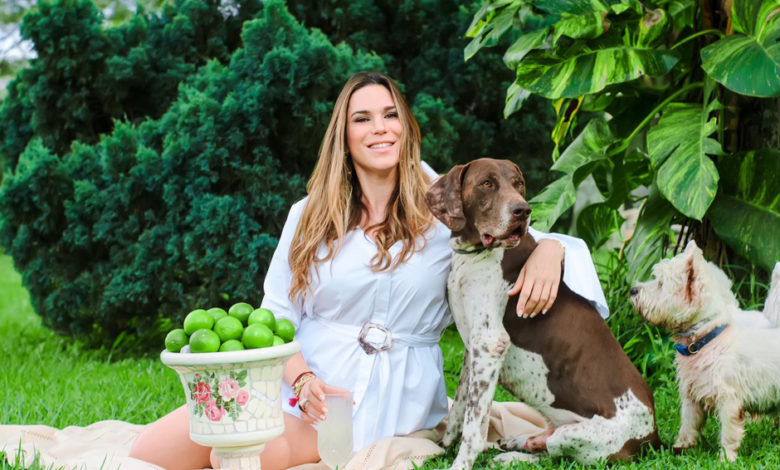 Entre perros y gatos