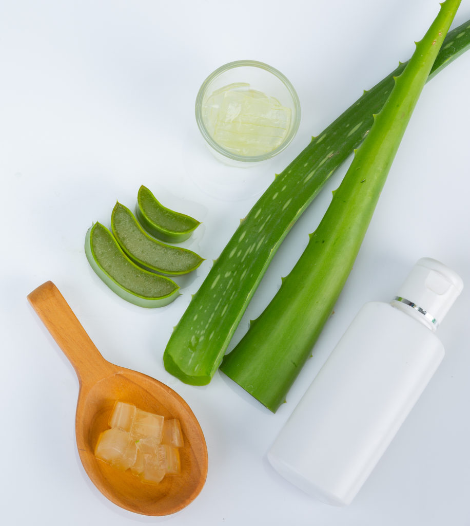 Aloe vera o sábila