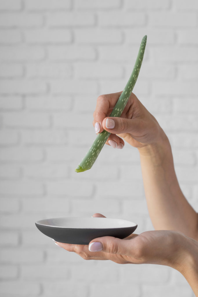 Aloe vera o sábila