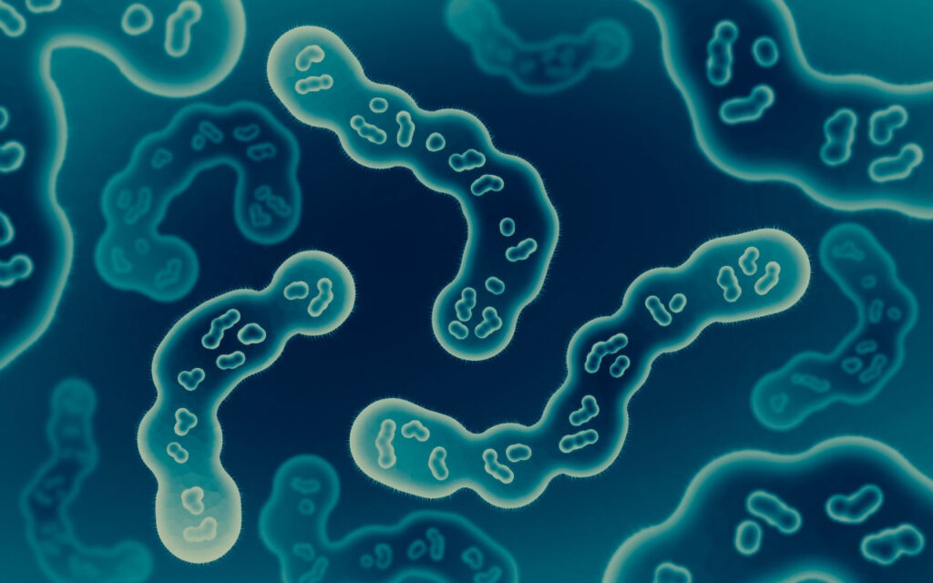 Consejos prevención gastroenteritis