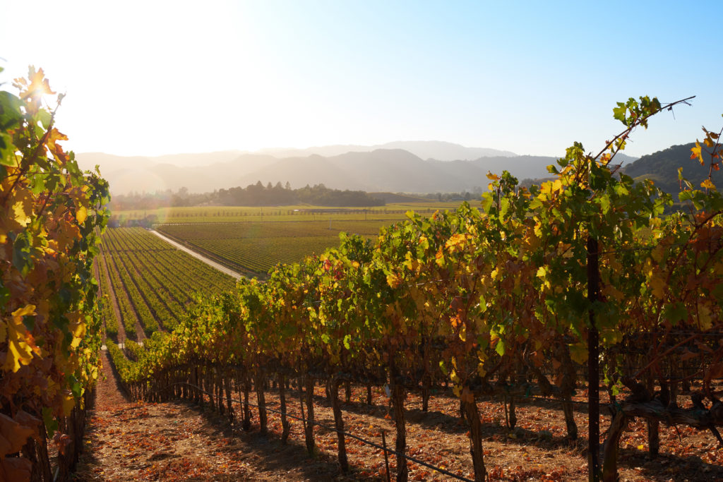 Napa Valley