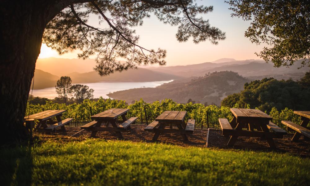 Napa Valley