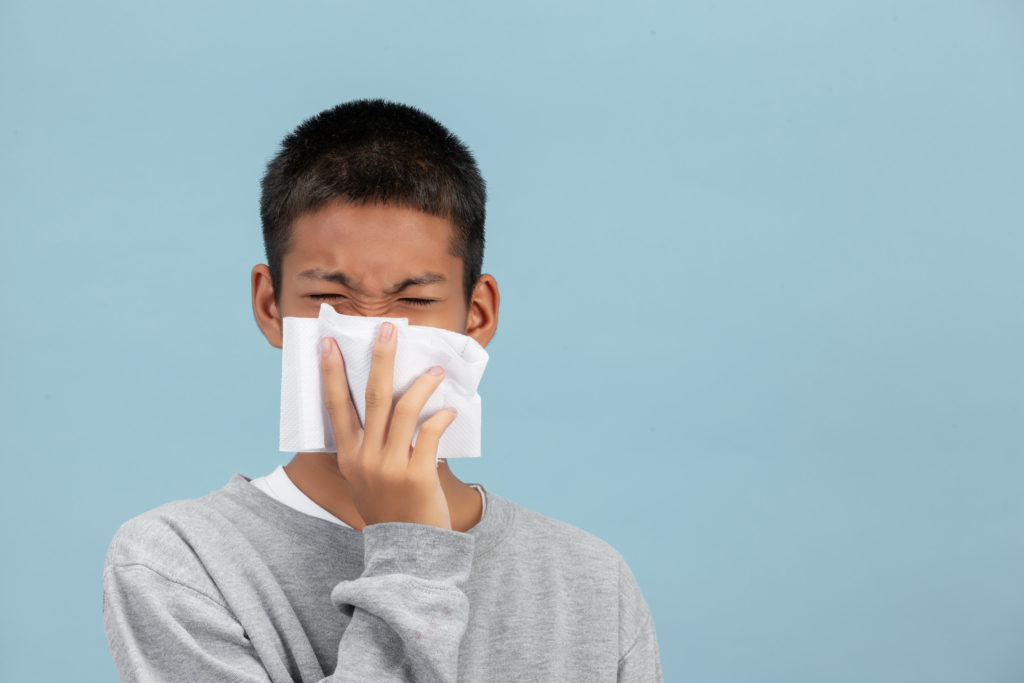 La sinusitis