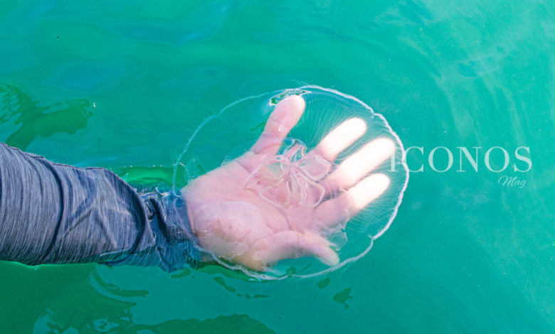 Turismo en Trujillo Honduras