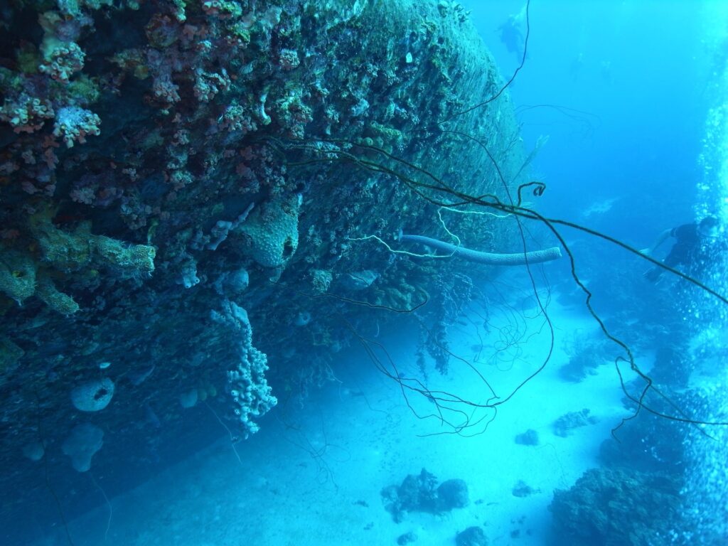 La isla Bonaire