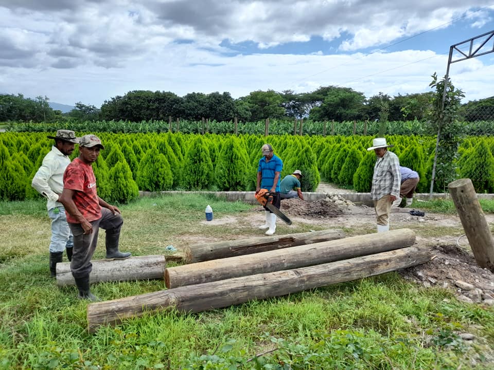 laberinto de cipreses de Comayagua