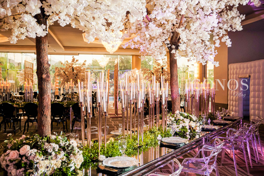 Boda Emilio Jarufe y Astrid Valeria Rodríguez