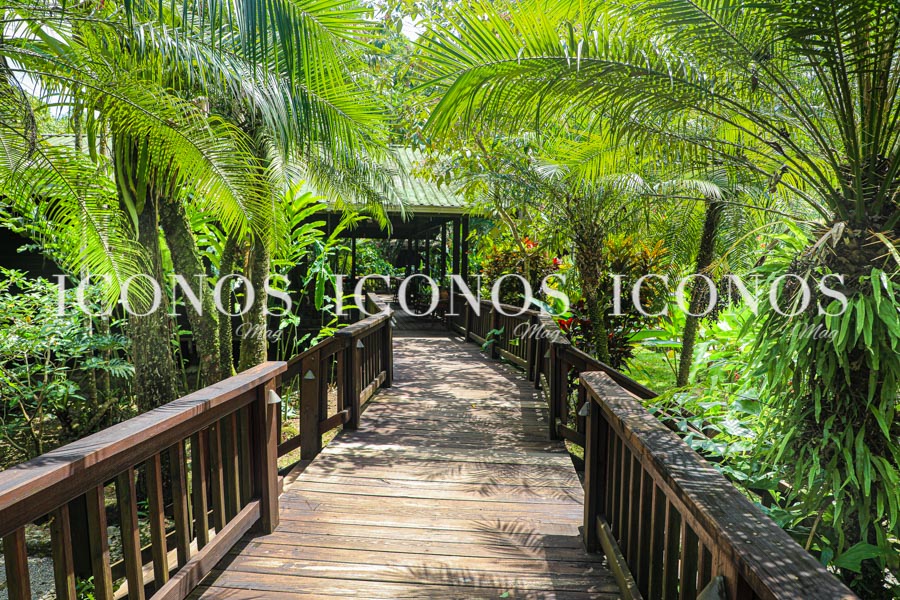The Lodge and Spa at Pico Bonito La Ceiba by cerveza Corona