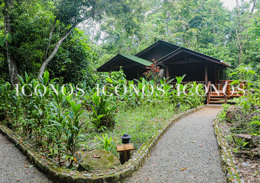 The Lodge and Spa at Pico Bonito La Ceiba by cerveza Corona