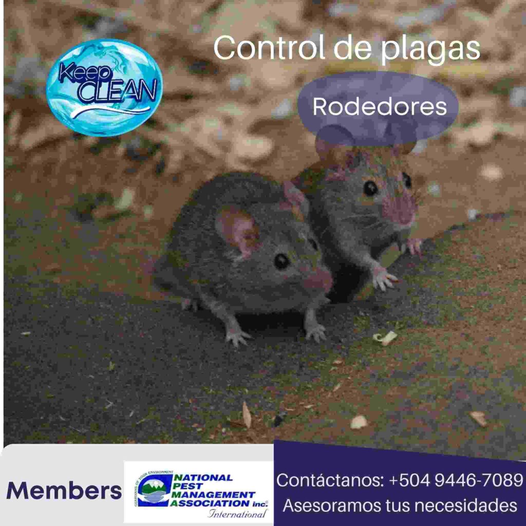 Métodos de control de plagas Keep Clean Honduras
