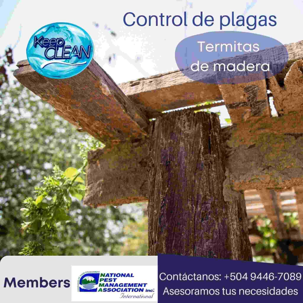 Métodos de control de plagas Keep Clean Honduras empresa de servicios outsourcing