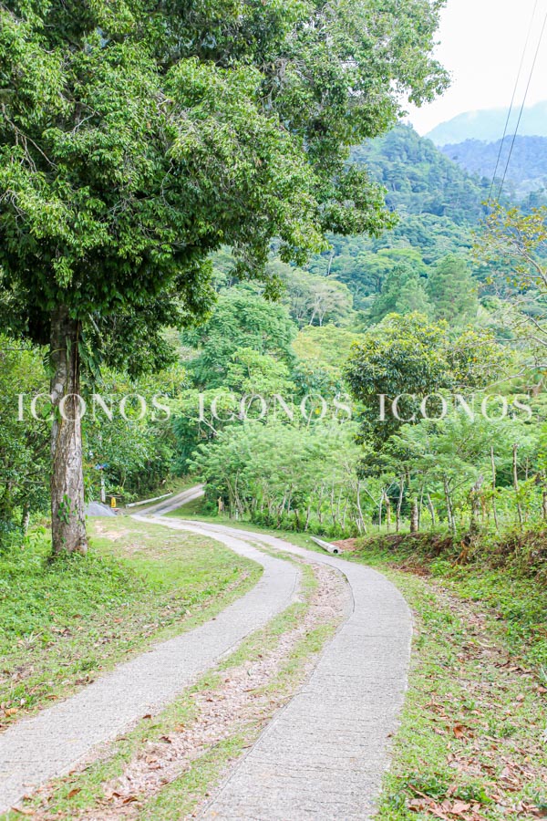 Panacam Lodge by cerveza Corona - Rediscover Paradise