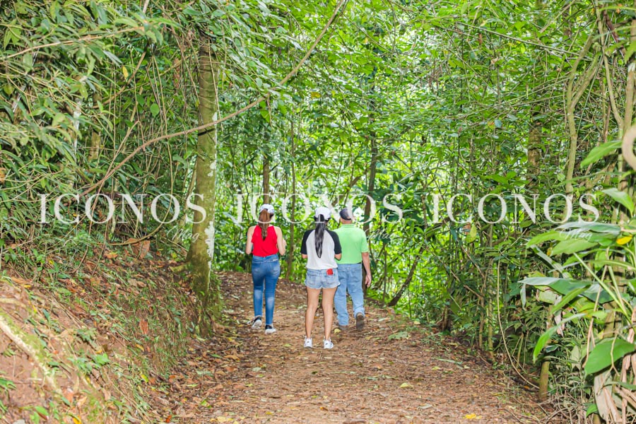 Panacam Lodge by cerveza Corona - Rediscover Paradise