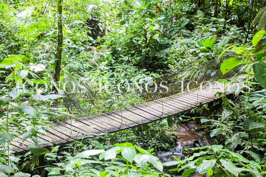 Panacam Lodge by cerveza Corona - Rediscover Paradise