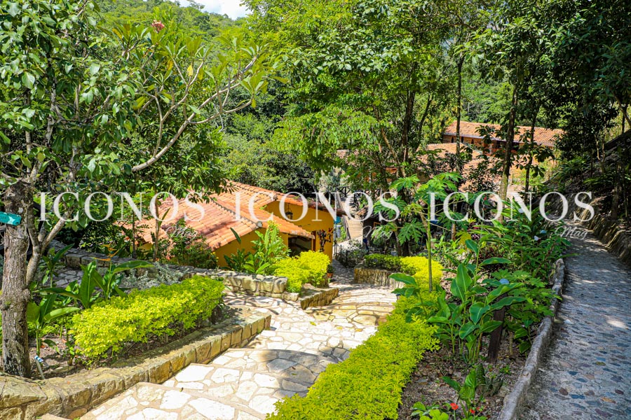 Hotel y Mariposario Mayan Hills by cerveza Corona - Rediscover Paradise