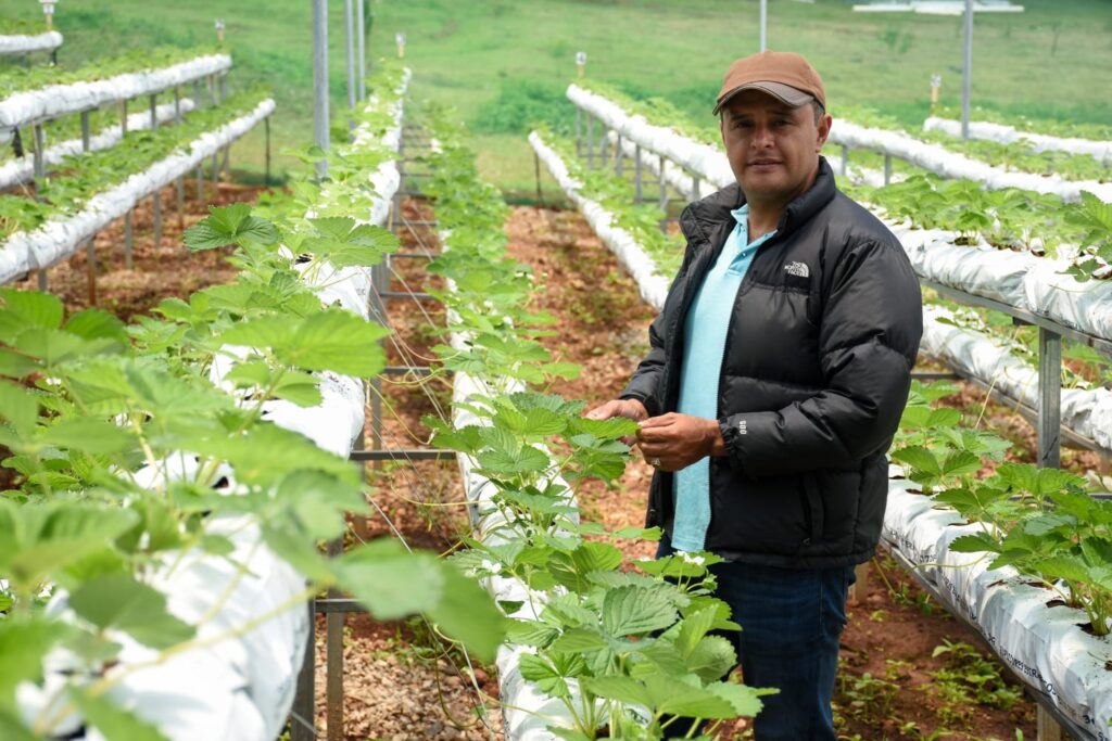 Programa Tierra fértil by Walmart 