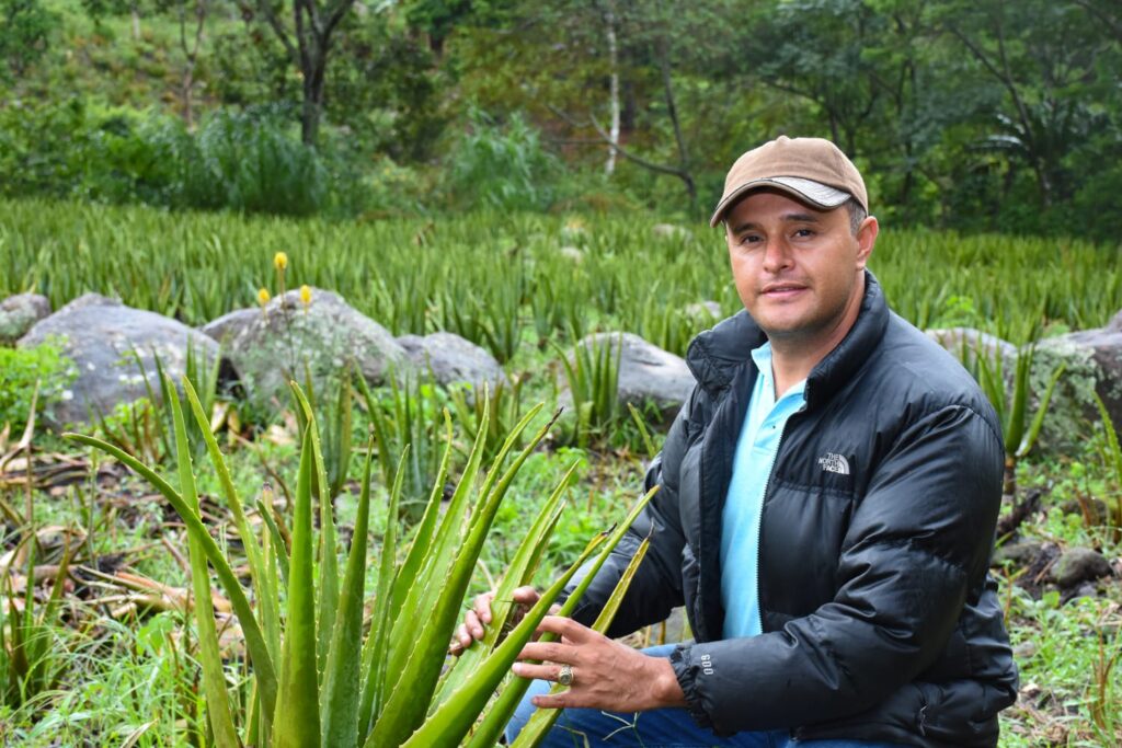 Programa Tierra fértil by Walmart 