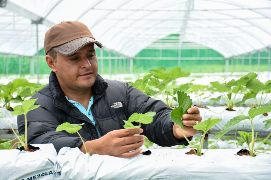 Programa Tierra fértil by Walmart 