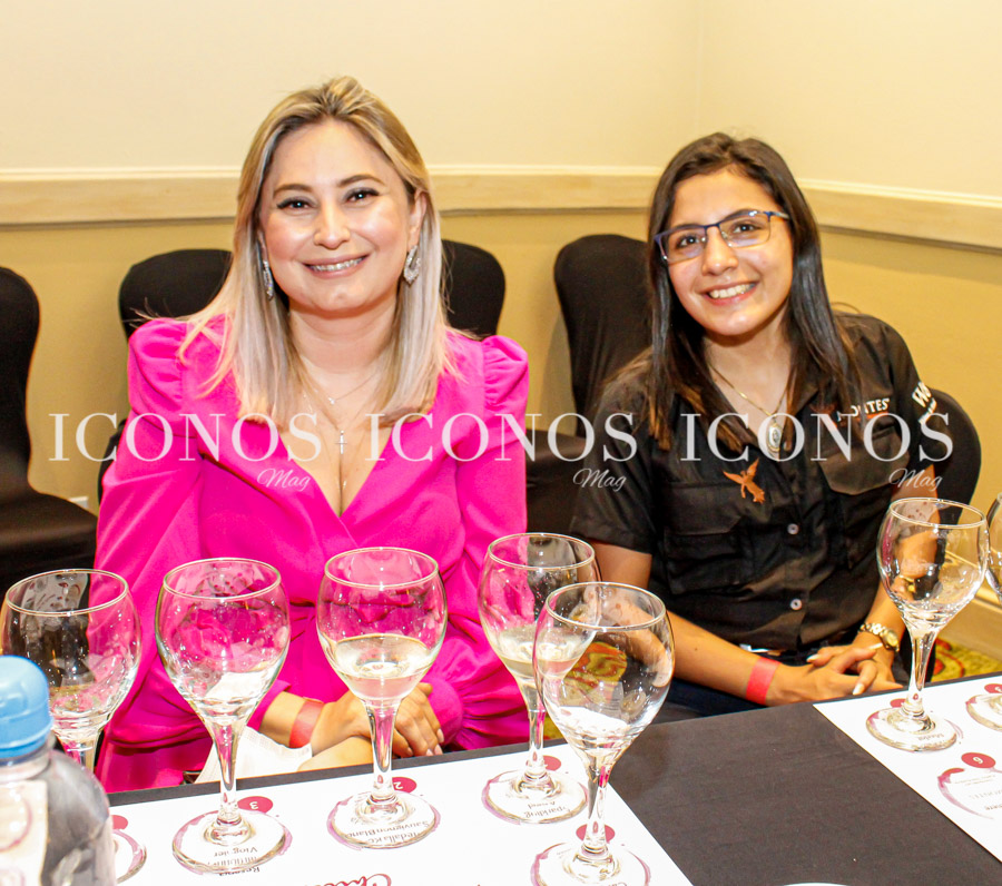 noche de vinos chilena