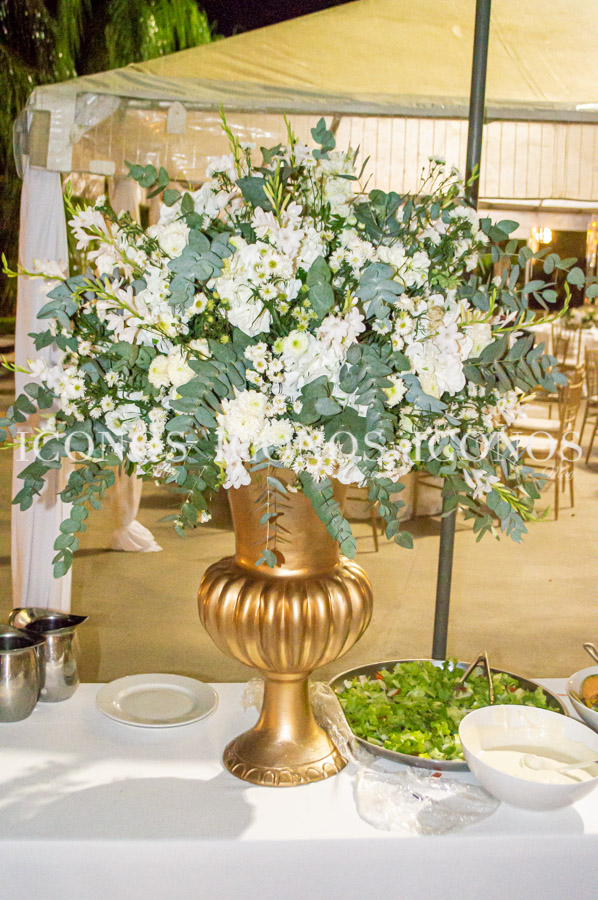 Boda Andrea Valle y José Pinto