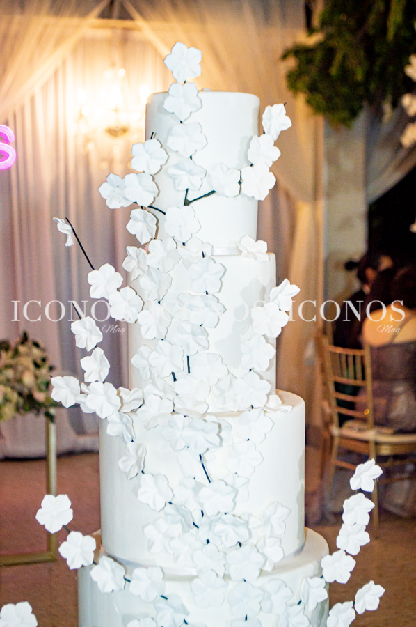 Boda Andrea Valle y José Pinto