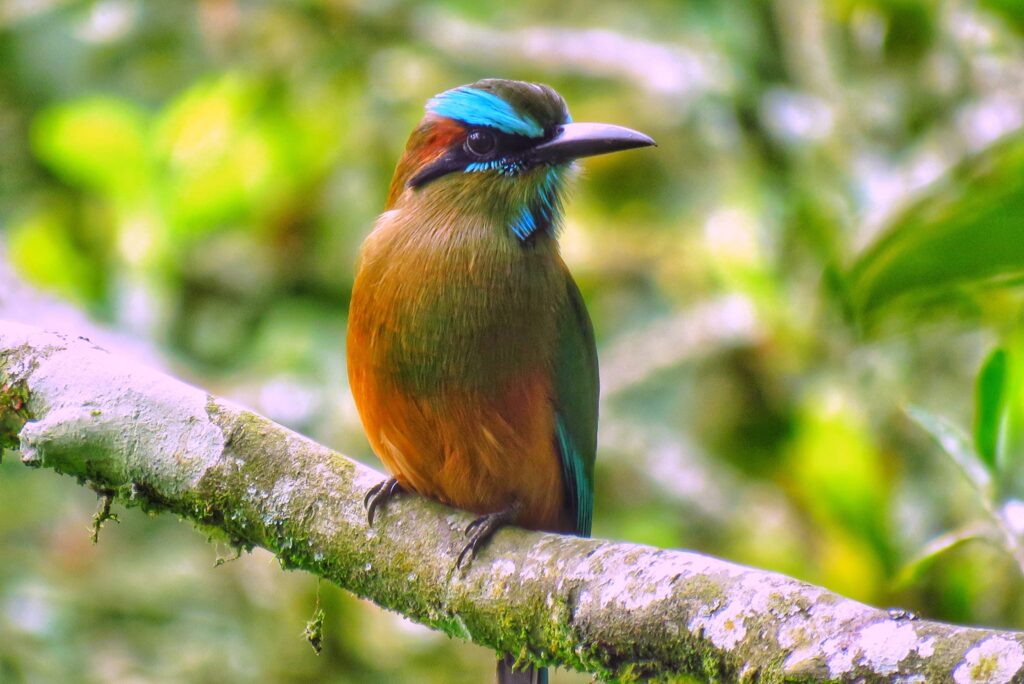 Ecofinca Luna del puente