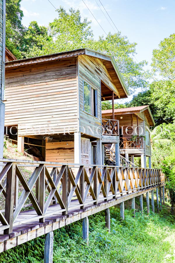 Villa Rina Hotel & Bungalows La Ceiba y sus renovadas instalaciones