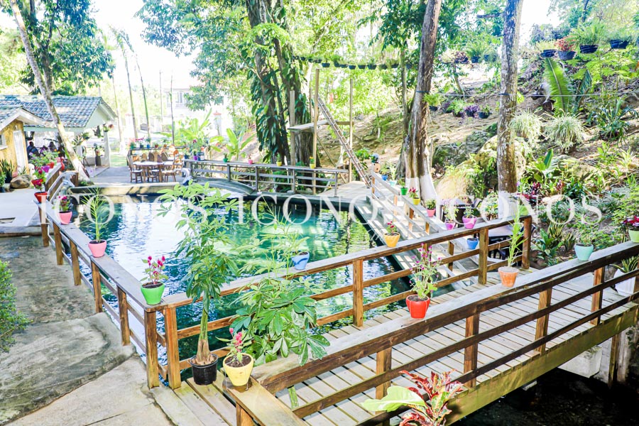 Villa Rina Hotel & Bungalows La Ceiba