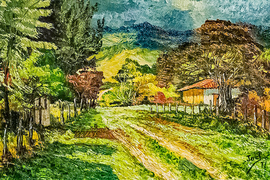 Pintor Joel Darío Castillo