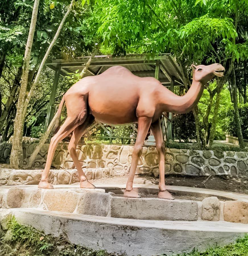 Jardín Jerusalén
