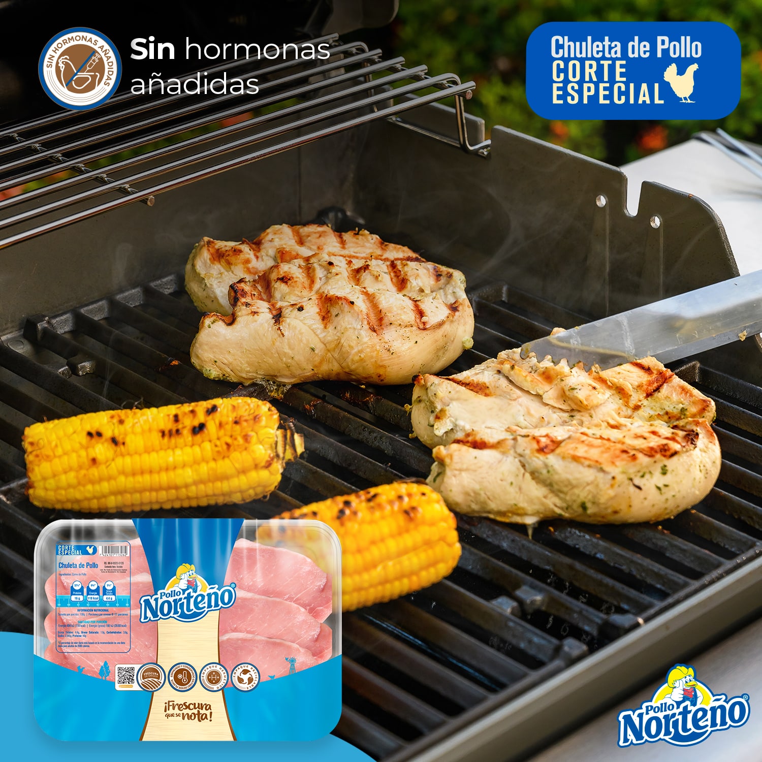 Pollo Norteño Honduras: productos sin hormonas añadidad