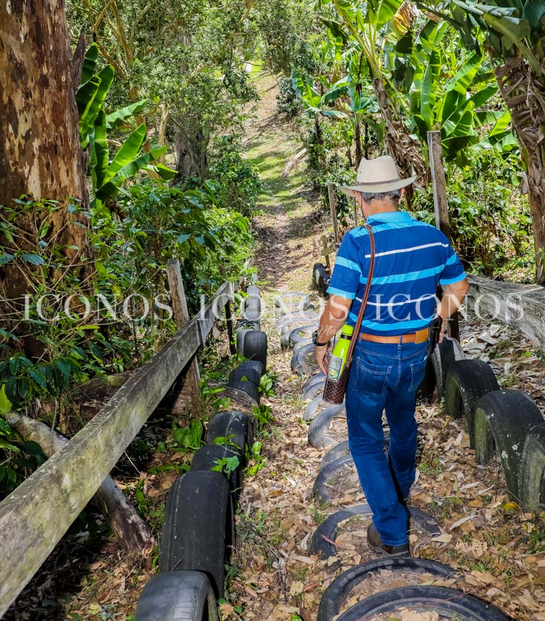 Café Rural Seis Valles