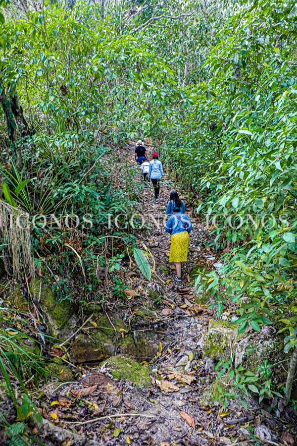 Finca Las Merceditas