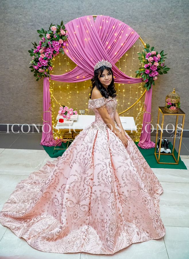 Quince años Andrea Nicolle Venegas Cruz