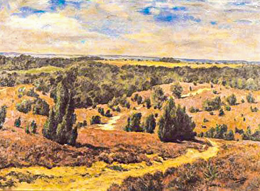 Pintor Confucio Montes de Oca