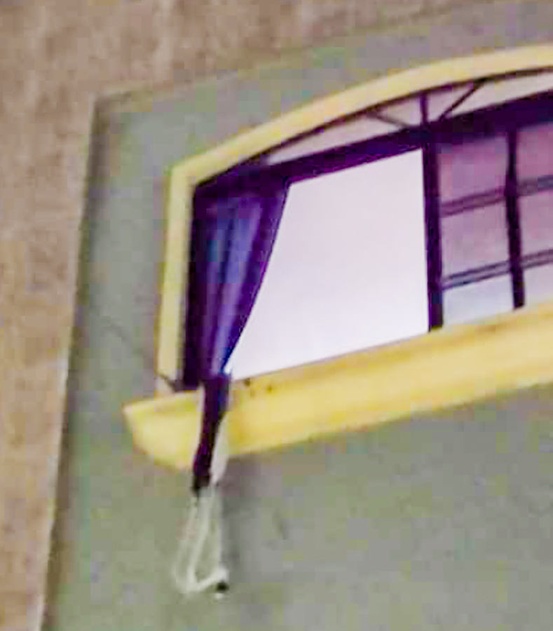 Arnin Canales Bonilla