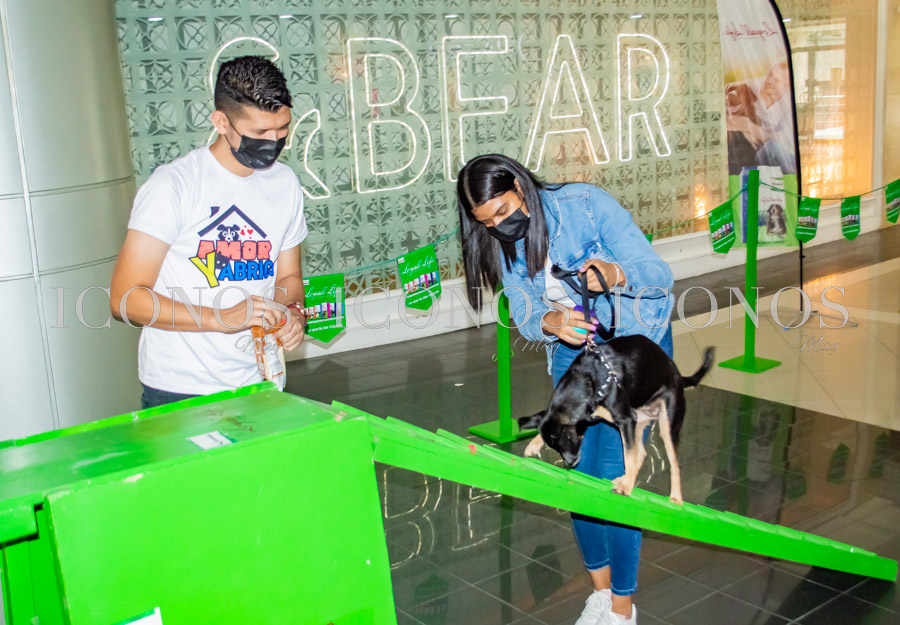 Puppy Week by City Mall San Pedro Sula